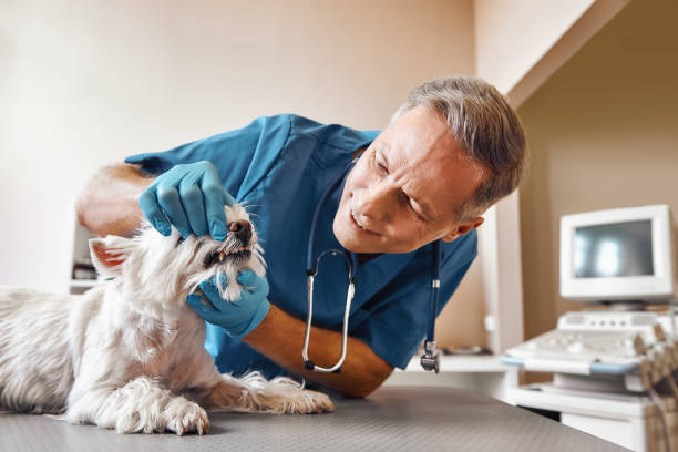 Best Broken Tooth Emergency  in Shaker Heights, OH